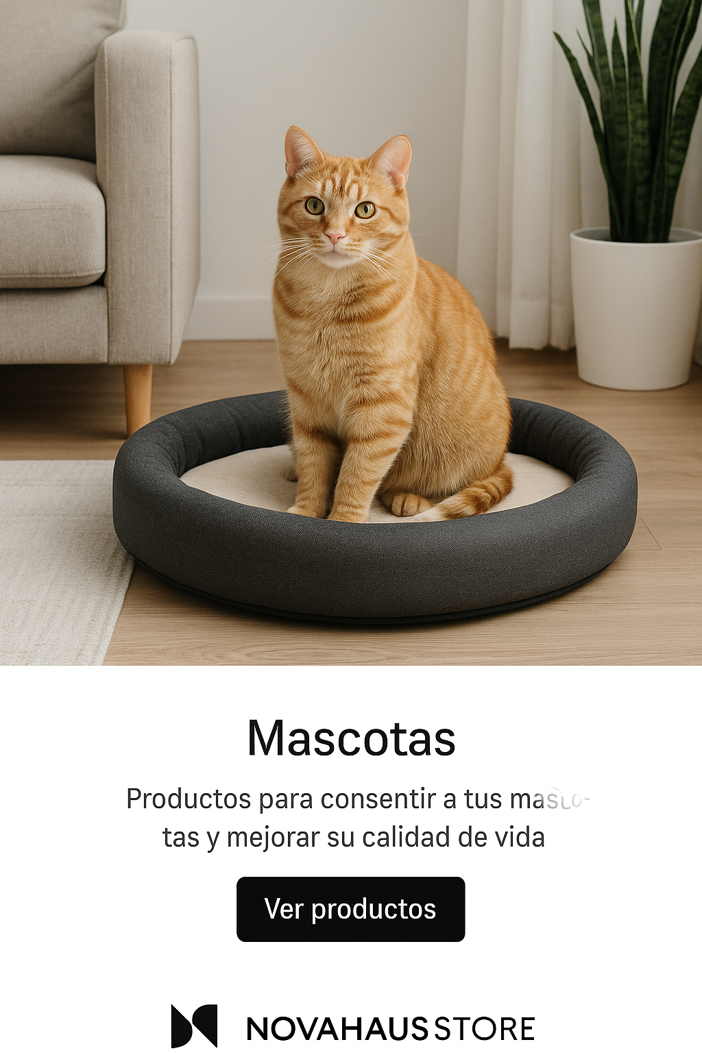 Mascotas